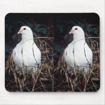 Rock Dove Mouse Pad