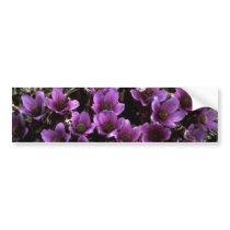 Rock Flower Bumper Stickers