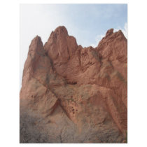 Rock formation full color flyer
