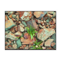 Rock Garden Postcard