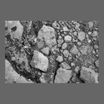 Rock Garden posters