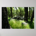 "Rock Garden" Posters