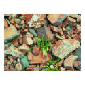 Rock Garden posters by calibree Rock Garden posters