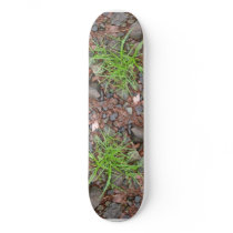 Rock Grass Skateboard