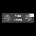 Rock Hound Collectors Funny Bumper Sticker bumper stickers