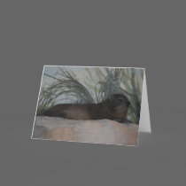 "Rock Hyrax" Greeting Card cards