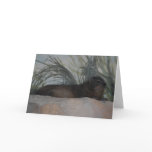 "Rock Hyrax" Greeting Card