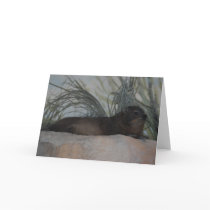 "Rock Hyrax" Greeting Card