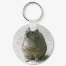 Rock Hyrax keychains
