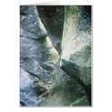 Rock Kiss cards