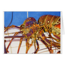 Rock Lobster Greeting Cards