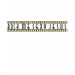 Ladies Baby Doll (Fitted)