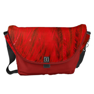 coach wallets redfeather
