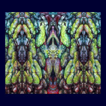 Rock Patterns 1 posters