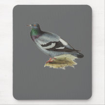 Rock Pigeon Mousepads