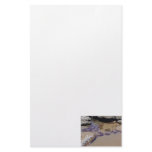 Rock Pool Personalized Stationery