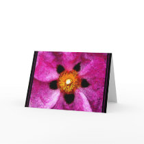 ROCK ROSE NOTECARD/BLANK
