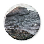Rock Sandpiper Pair at Shoreline Refrigerator Magnets