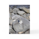 Rock Sculpture cards by lymie7482 Rock Sculpture cards