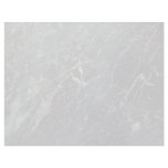 Rock Solid Shuttle view Letterhead Design