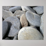 Rock Spider Poster posters