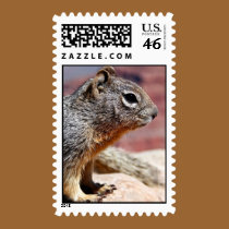 Rock Squirrel at Grand Canyon stamps
