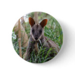 Rock Wallaby Badge Pin