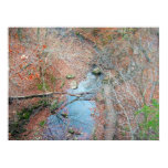 Rockbridge State Park 2 - Fall posters