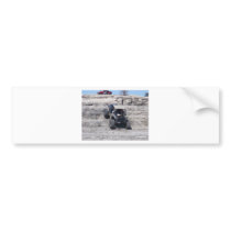 rockcrawling in Disney Bumper Stickers