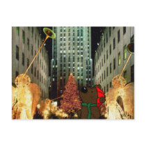 'Rockefeller Bear' NY Postcard