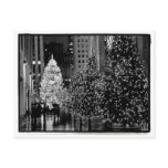 Rockefeller Center Christmas Tree Postcard