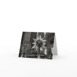 Rockefeller Plaza Swarovski Crystal Star Card