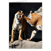 Rockem sockem tigers card