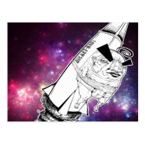Rocket Baby postcard postcards