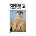 Rocket Dog Postage postage by fkmp_store Rocket Dog Postage postage