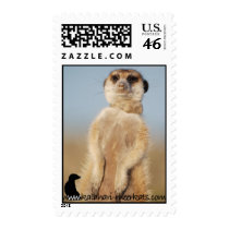 Rocket Dog Postage postage