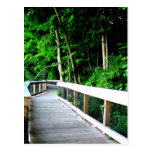 Rockford Michigan Walking Trail Post Card