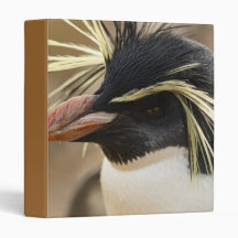 Rockhopper Penguin Binder