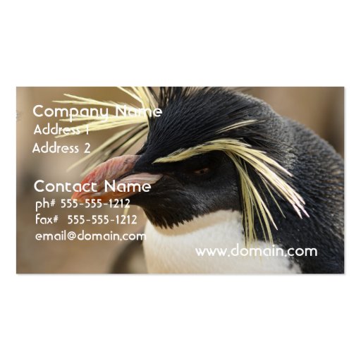 Rockhopper Penguin  Business Cards (front side)