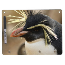 Rockhopper Penguin  Dry Erase Board