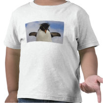 Rockhopper Penguin Eudyptes chrysocome Shirt