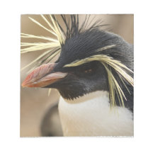 Rockhopper Penguin Notepad