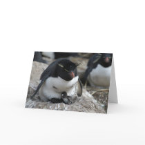 Rockhopper Penguin with Chicks cards