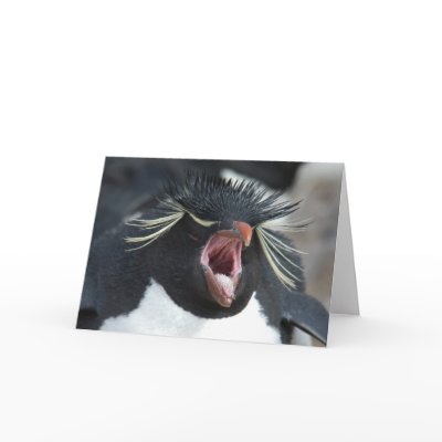 Rockhopper Yawn Card by drthorpe
