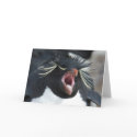 Rockhopper Yawn cards by drthorpe Rockhopper Yawn cards
