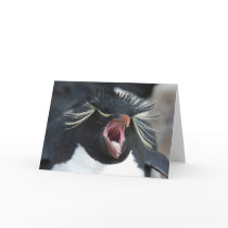 Rockhopper Yawn cards