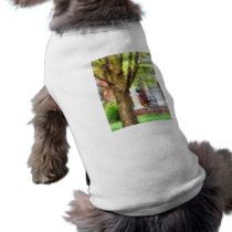 Rocking Chair on Porch pet clothing