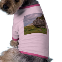 Rocking Stone pet clothing