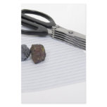 RockPaperScissors060509 Custom Stationery