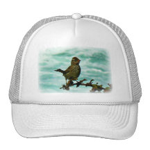 Rockport Bird Hats